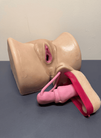 Picture of a vaginal model for students to practise on 